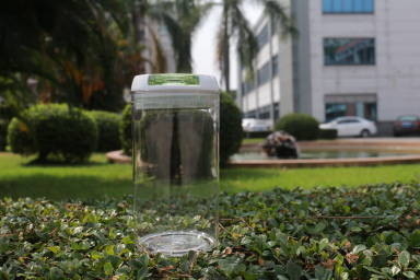 Envase de plástico reciclable aprobado por la FDA con la tapa bloqueable BPA libremente